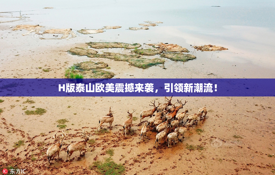 H版泰山欧美震撼来袭，引领新潮流！