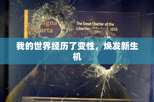 我的世界经历了变性，焕发新生机