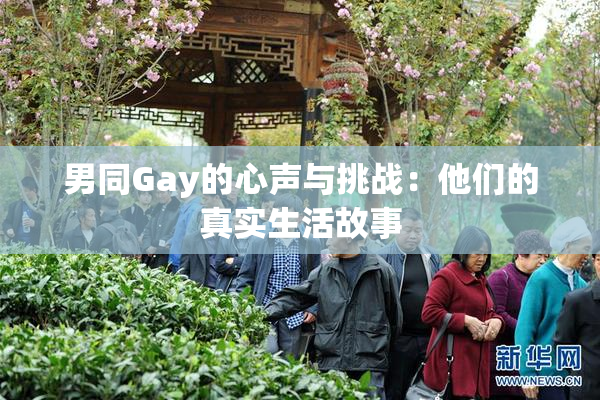 男同Gay的心声与挑战：他们的真实生活故事