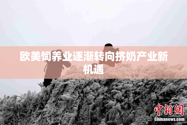 欧美饲养业逐渐转向挤奶产业新机遇