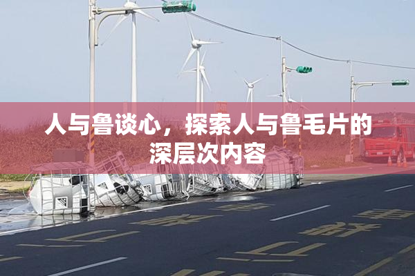 人与鲁谈心，探索人与鲁毛片的深层次内容
