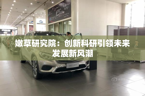 嫩草研究院：创新科研引领未来发展新风潮