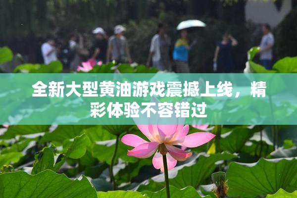 全新大型黄油游戏震撼上线，精彩体验不容错过