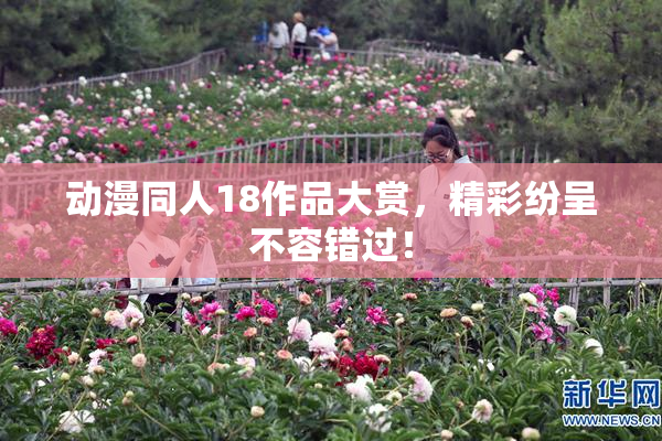 动漫同人18作品大赏，精彩纷呈不容错过！