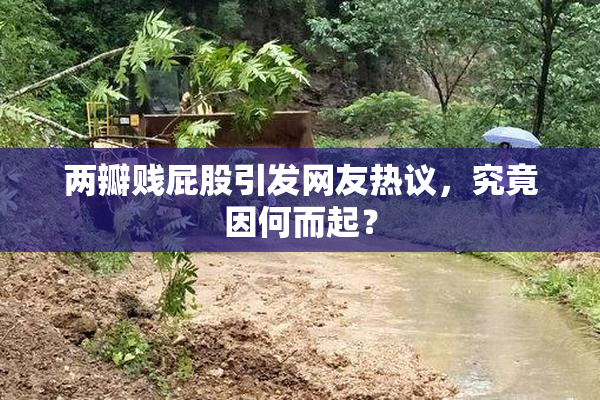 两瓣贱屁股引发网友热议，究竟因何而起？