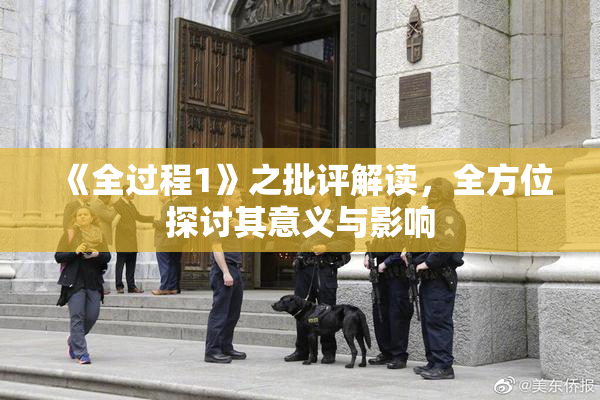 《全过程1》之批评解读，全方位探讨其意义与影响