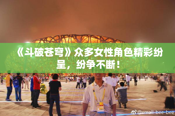 《斗破苍穹》众多女性角色精彩纷呈，纷争不断！