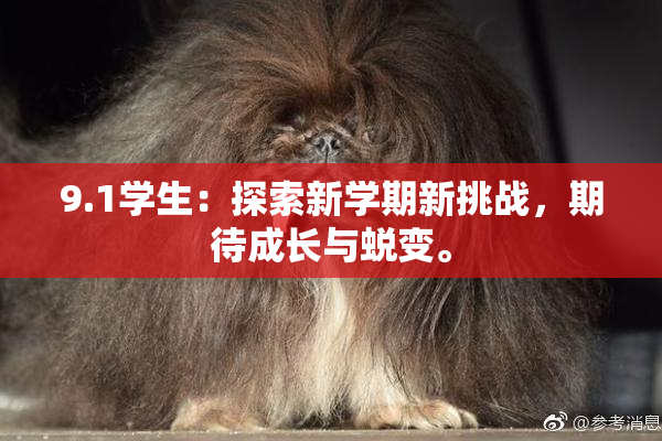 9.1学生：探索新学期新挑战，期待成长与蜕变。