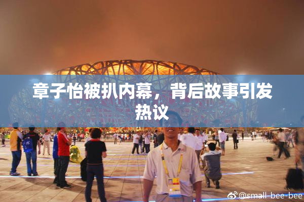 章子怡被扒内幕，背后故事引发热议