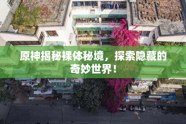 原神揭秘裸体秘境，探索隐藏的奇妙世界！