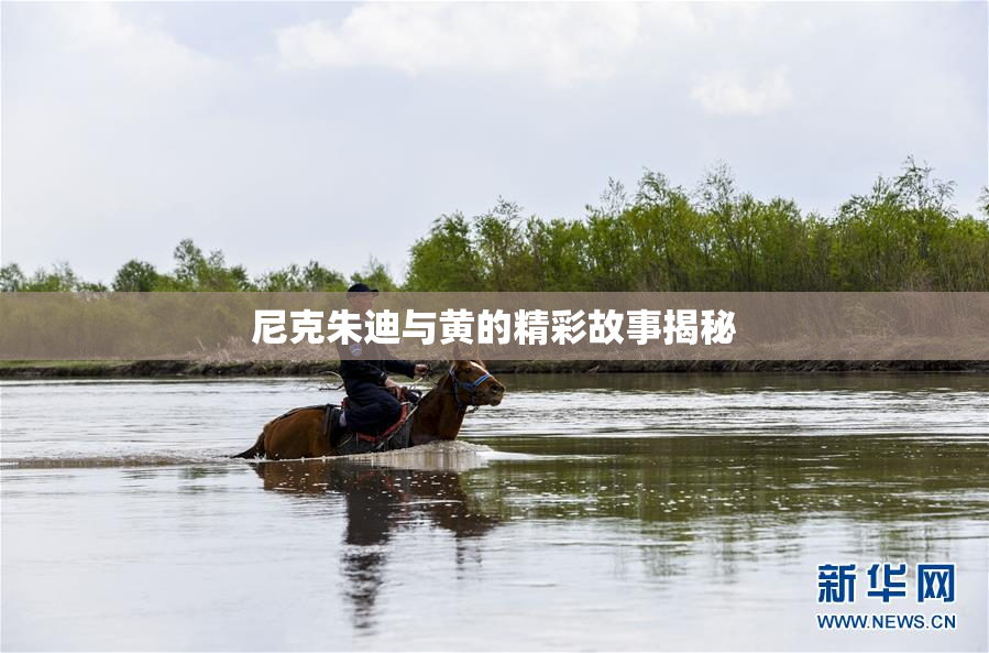 尼克朱迪与黄的精彩故事揭秘