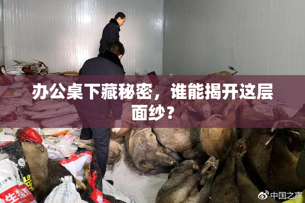 办公桌下藏秘密，谁能揭开这层面纱？