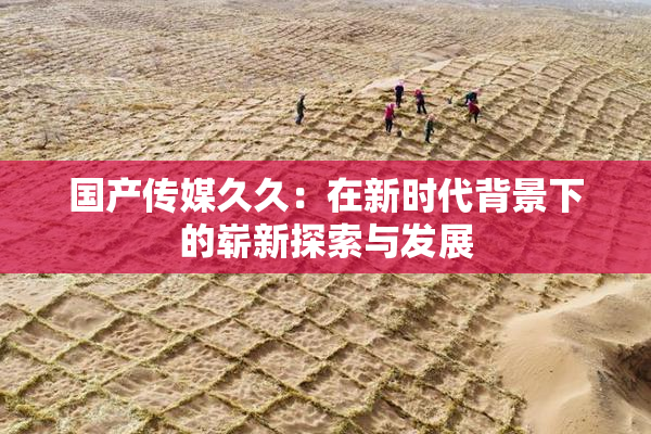 国产传媒久久：在新时代背景下的崭新探索与发展