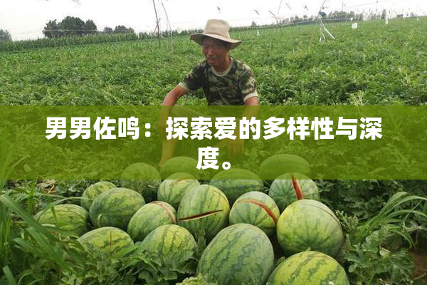 男男佐鸣：探索爱的多样性与深度。