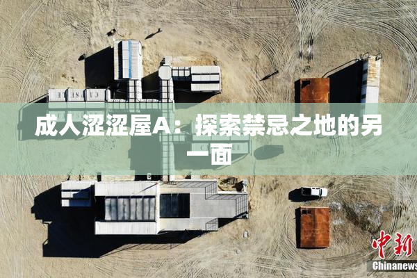 成人涩涩屋A：探索禁忌之地的另一面