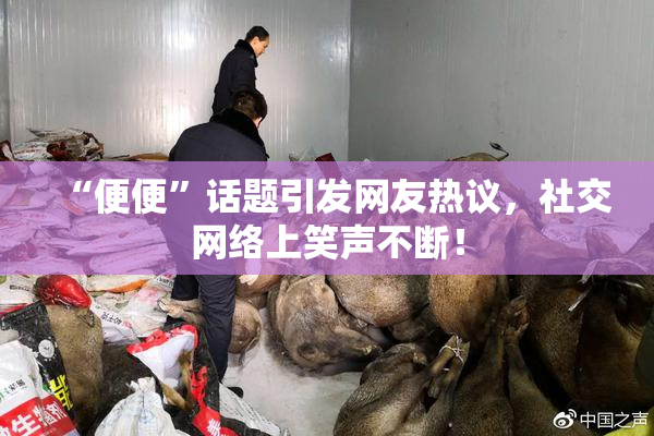 “便便”话题引发网友热议，社交网络上笑声不断！