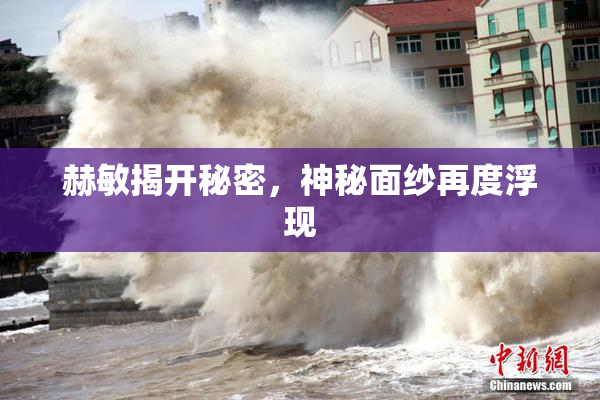 赫敏揭开秘密，神秘面纱再度浮现