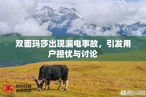 双面玛莎出现漏电事故，引发用户担忧与讨论
