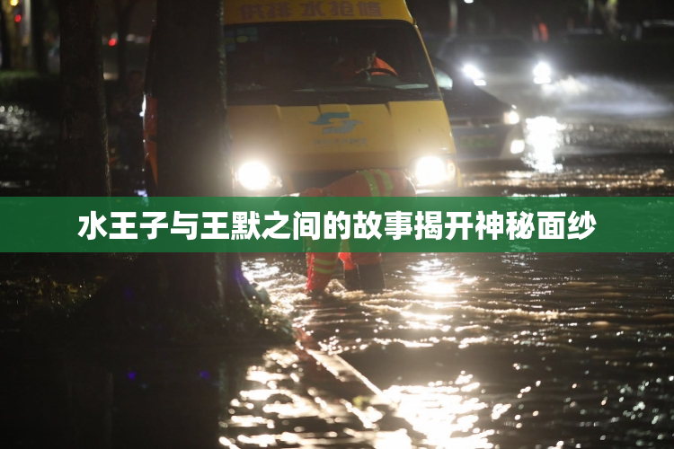 水王子与王默之间的故事揭开神秘面纱