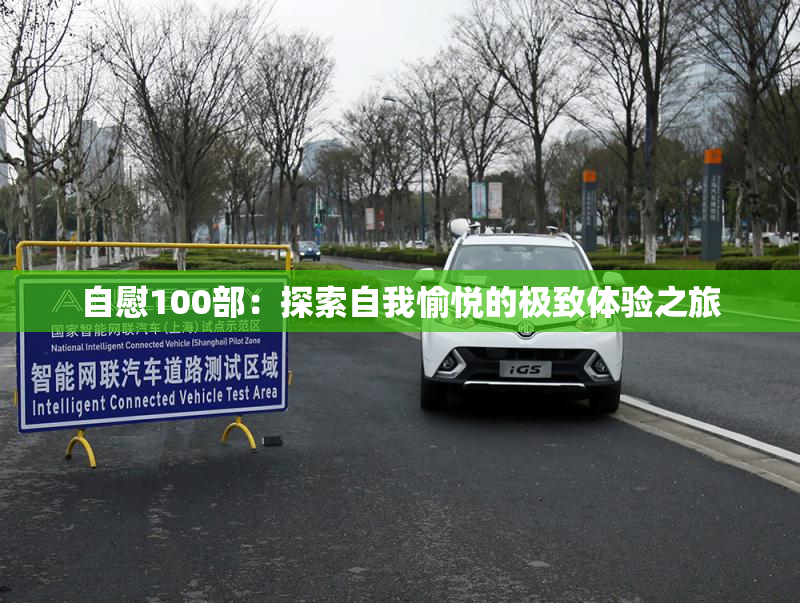 自慰100部：探索自我愉悦的极致体验之旅