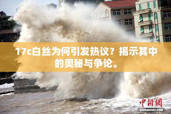 17c白丝为何引发热议？揭示其中的奥秘与争论。