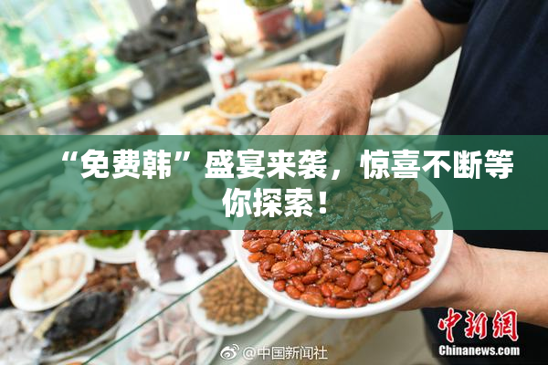 “免费韩”盛宴来袭，惊喜不断等你探索！