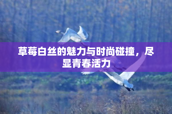 草莓白丝的魅力与时尚碰撞，尽显青春活力