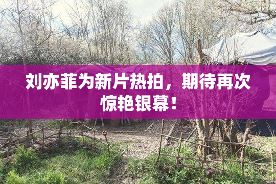 刘亦菲为新片热拍，期待再次惊艳银幕！