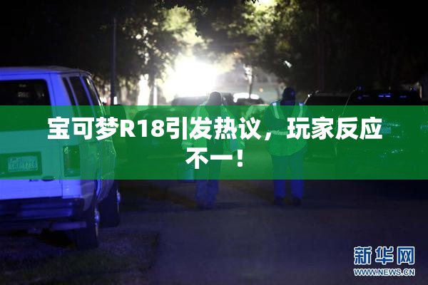 宝可梦R18引发热议，玩家反应不一！