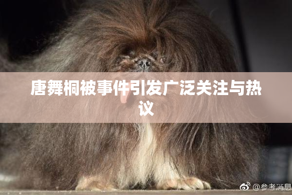 唐舞桐被事件引发广泛关注与热议
