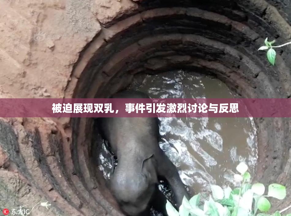 被迫展现双乳，事件引发激烈讨论与反思