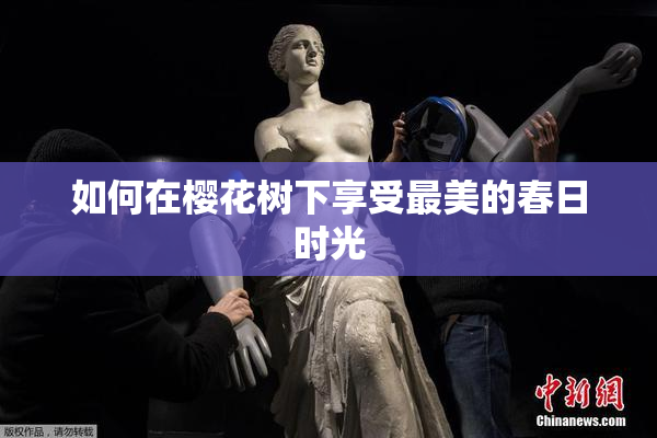 如何在樱花树下享受最美的春日时光