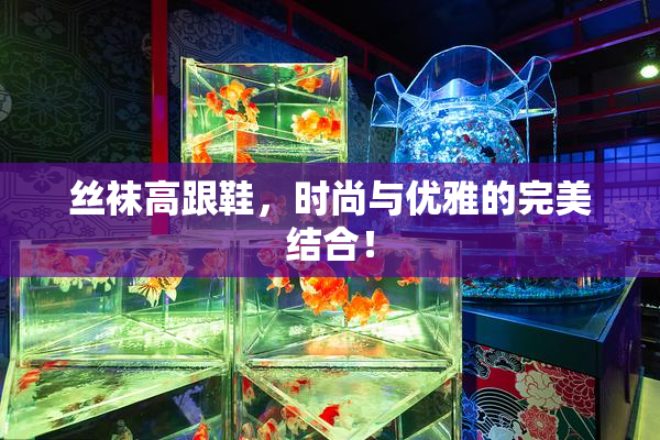 丝袜高跟鞋，时尚与优雅的完美结合！