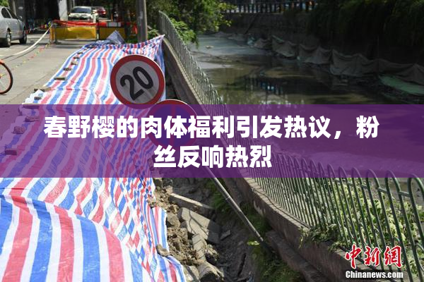 春野樱的肉体福利引发热议，粉丝反响热烈
