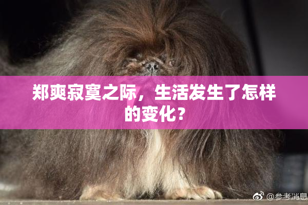 郑爽寂寞之际，生活发生了怎样的变化？