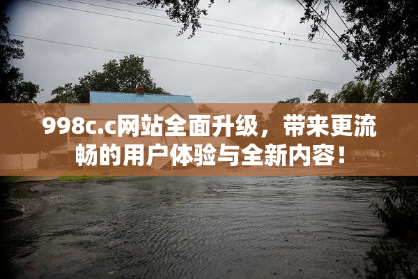 998c.c网站全面升级，带来更流畅的用户体验与全新内容！