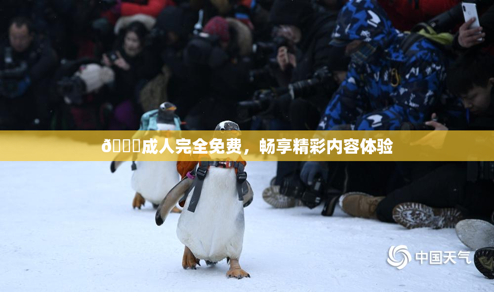 🔞成人完全免费，畅享精彩内容体验