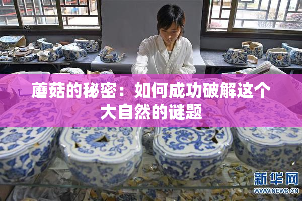 蘑菇的秘密：如何成功破解这个大自然的谜题