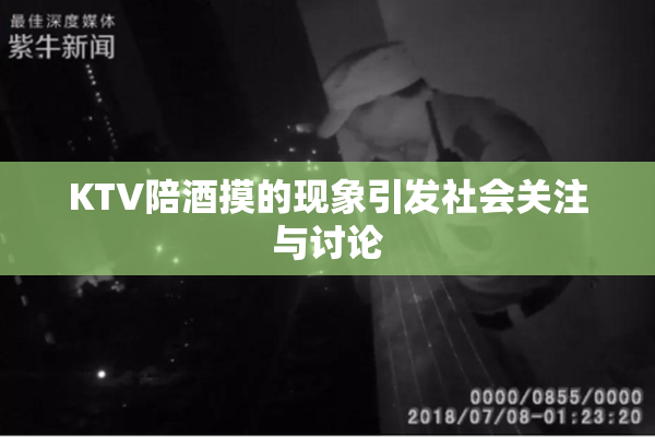 KTV陪酒摸的现象引发社会关注与讨论