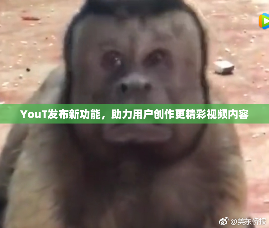 YouT发布新功能，助力用户创作更精彩视频内容
