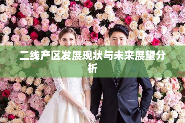 二线产区发展现状与未来展望分析