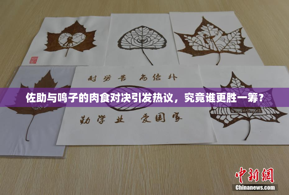 佐助与鸣子的肉食对决引发热议，究竟谁更胜一筹？