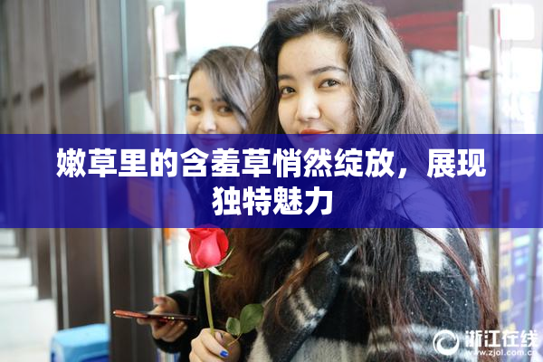 嫩草里的含羞草悄然绽放，展现独特魅力