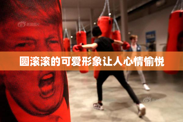圆滚滚的可爱形象让人心情愉悦