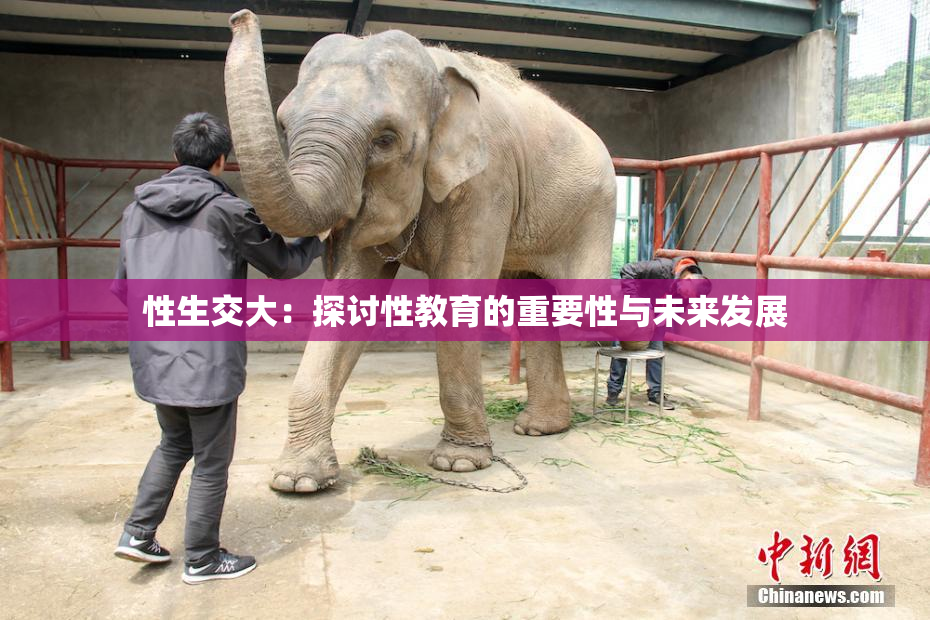 性生交大：探讨性教育的重要性与未来发展