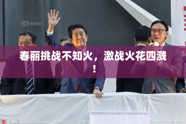 春丽挑战不知火，激战火花四溅！