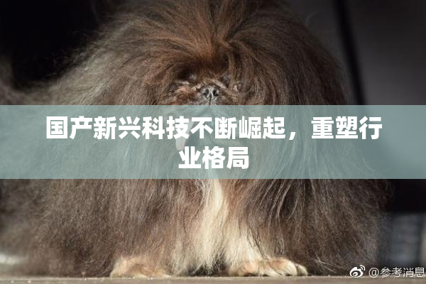 国产新兴科技不断崛起，重塑行业格局