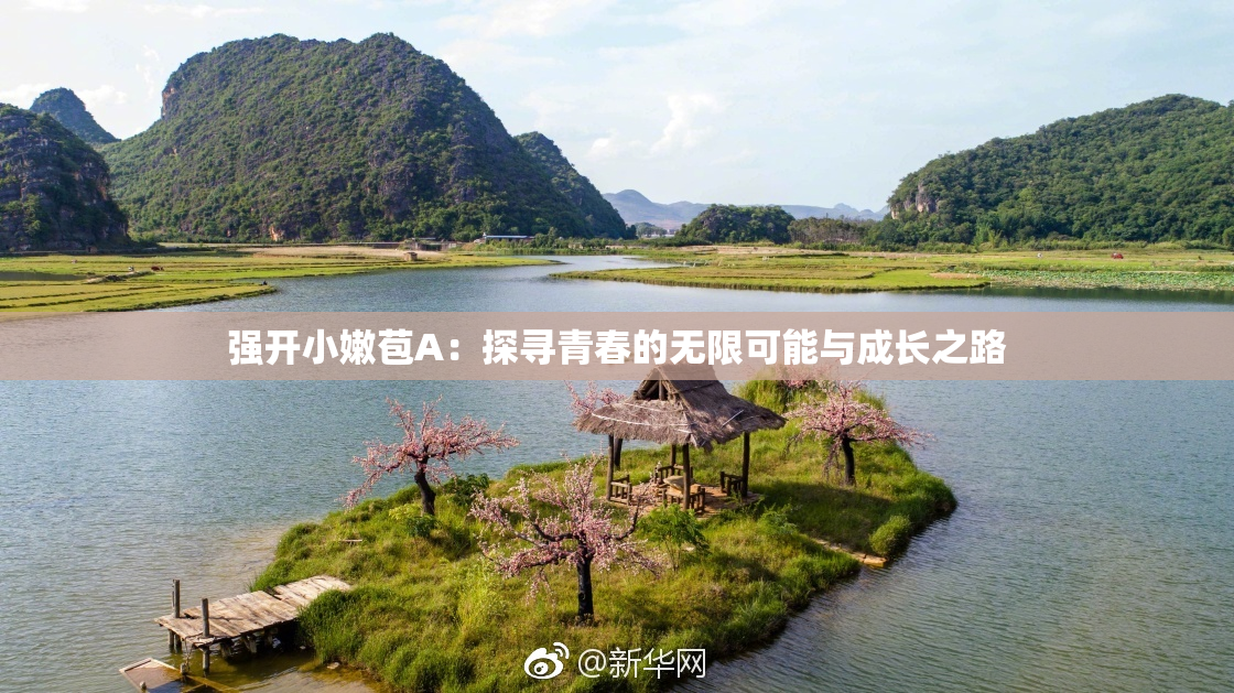 强开小嫩苞A：探寻青春的无限可能与成长之路