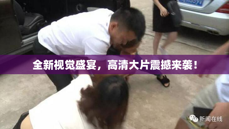 全新视觉盛宴，高清大片震撼来袭！