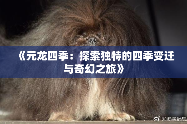 《元龙四季：探索独特的四季变迁与奇幻之旅》